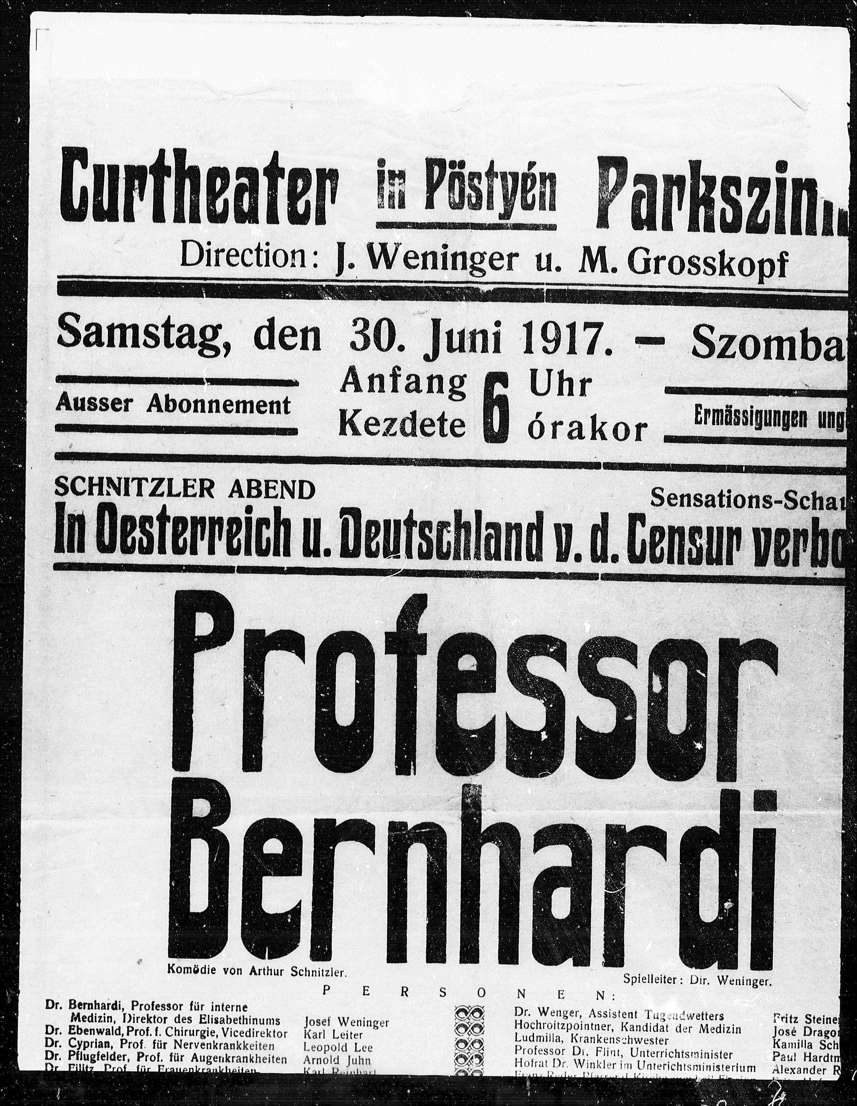 Vorschaubild für Professor Bernhardi, Seite 439