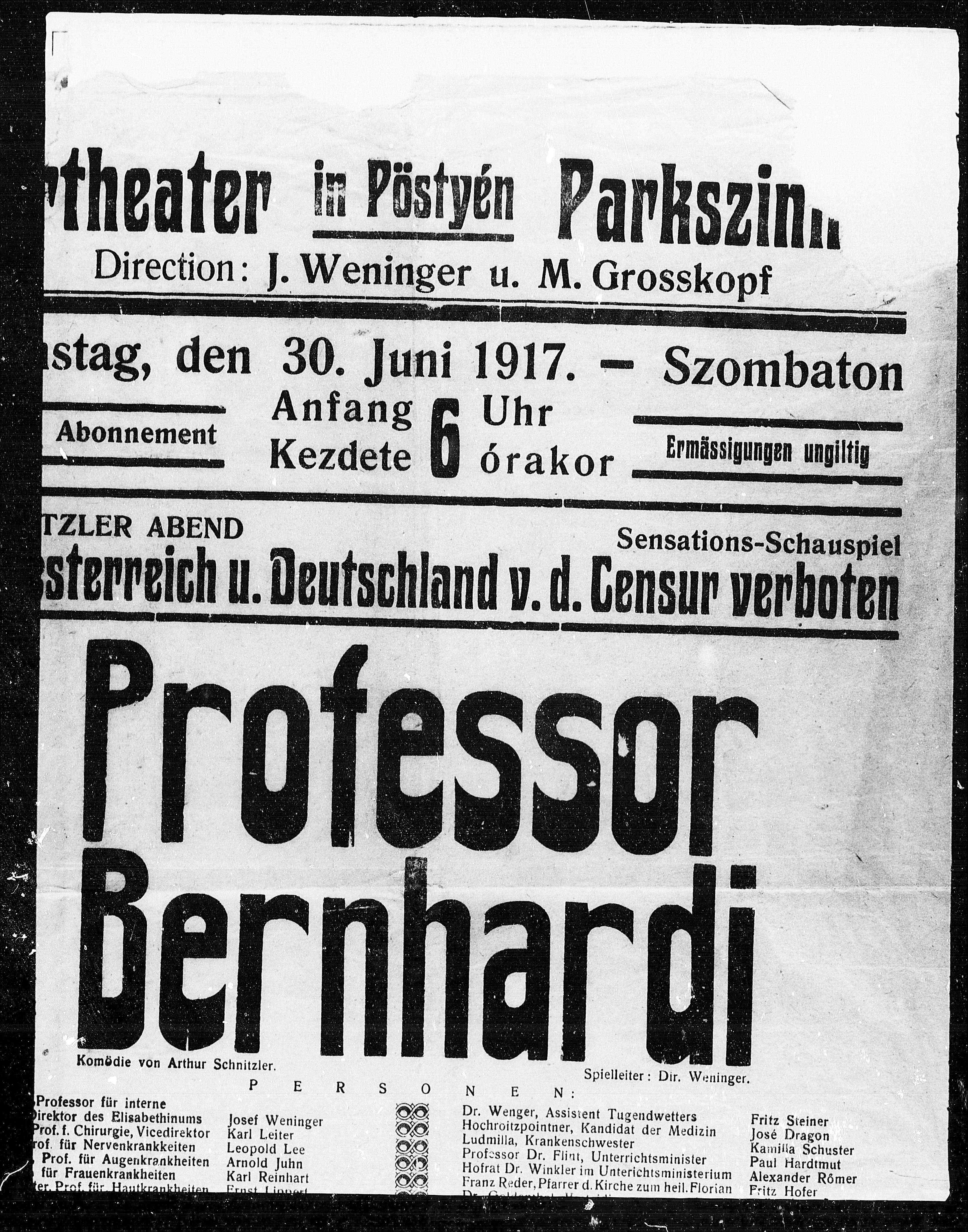 Vorschaubild für Professor Bernhardi, Seite 440