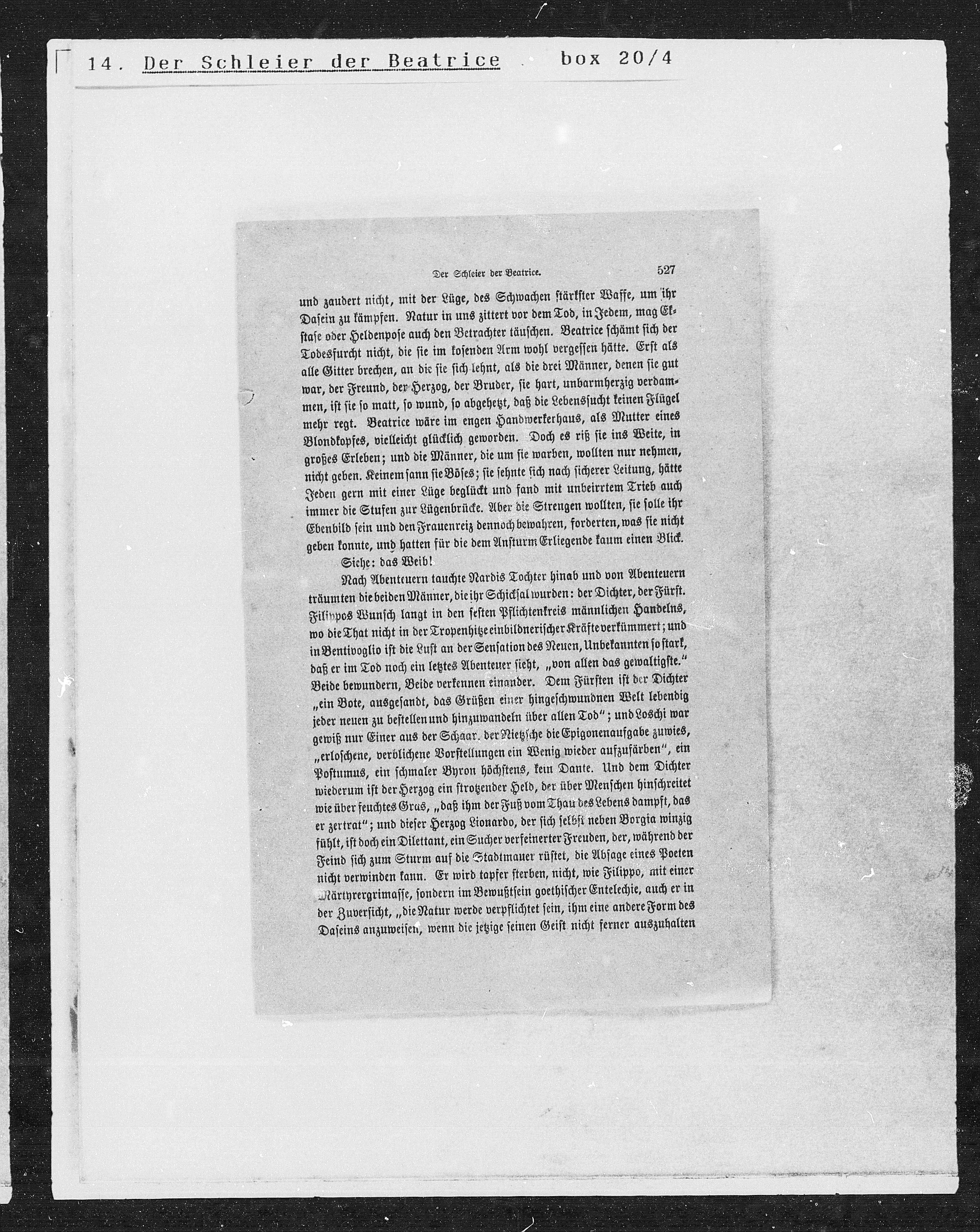 Vorschaubild für Der Schleier der Beatrice, Seite 412