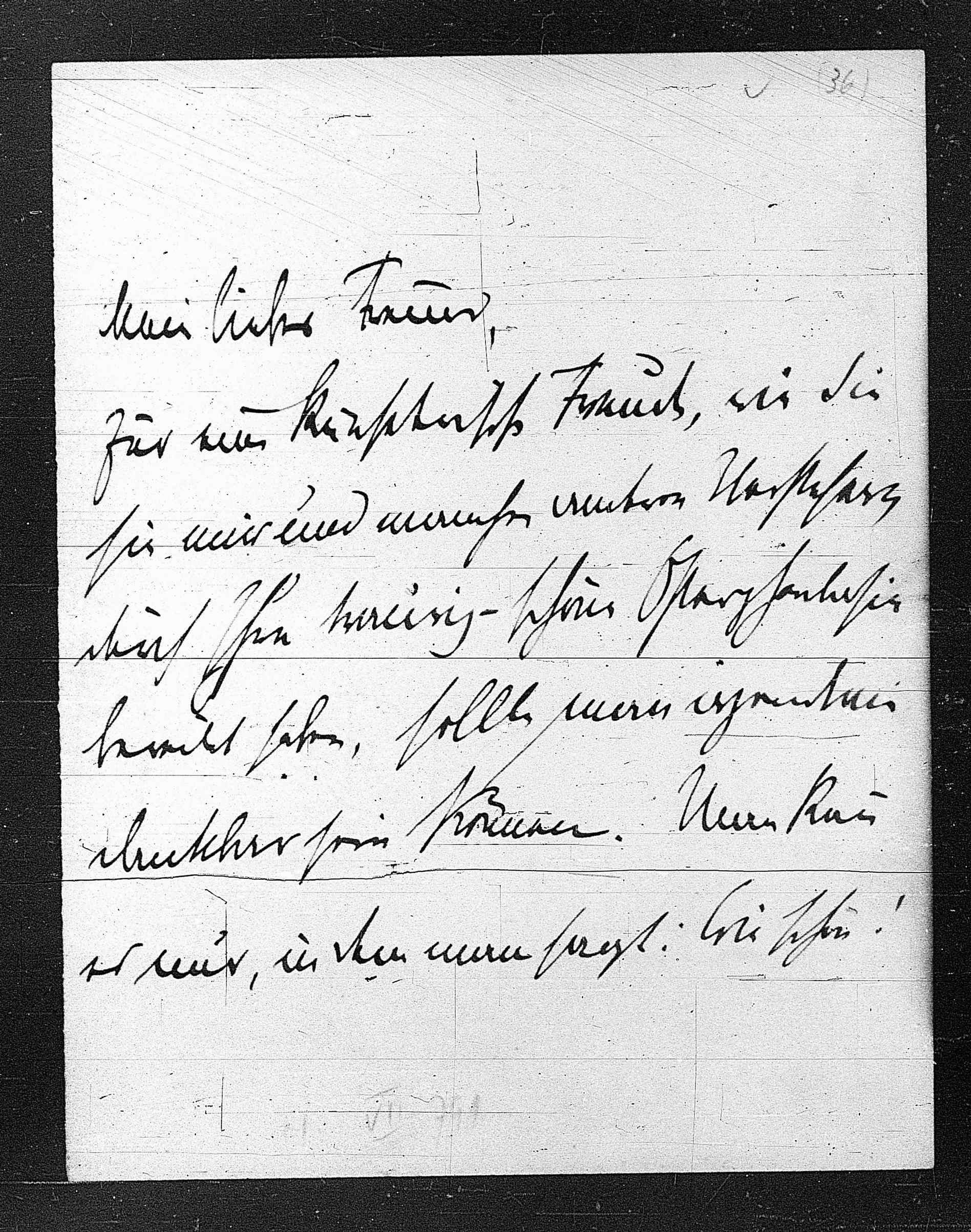 Vorschaubild für Herzl, Theodor_Schnitzler-Herzl (Zionist Archive), Seite 213