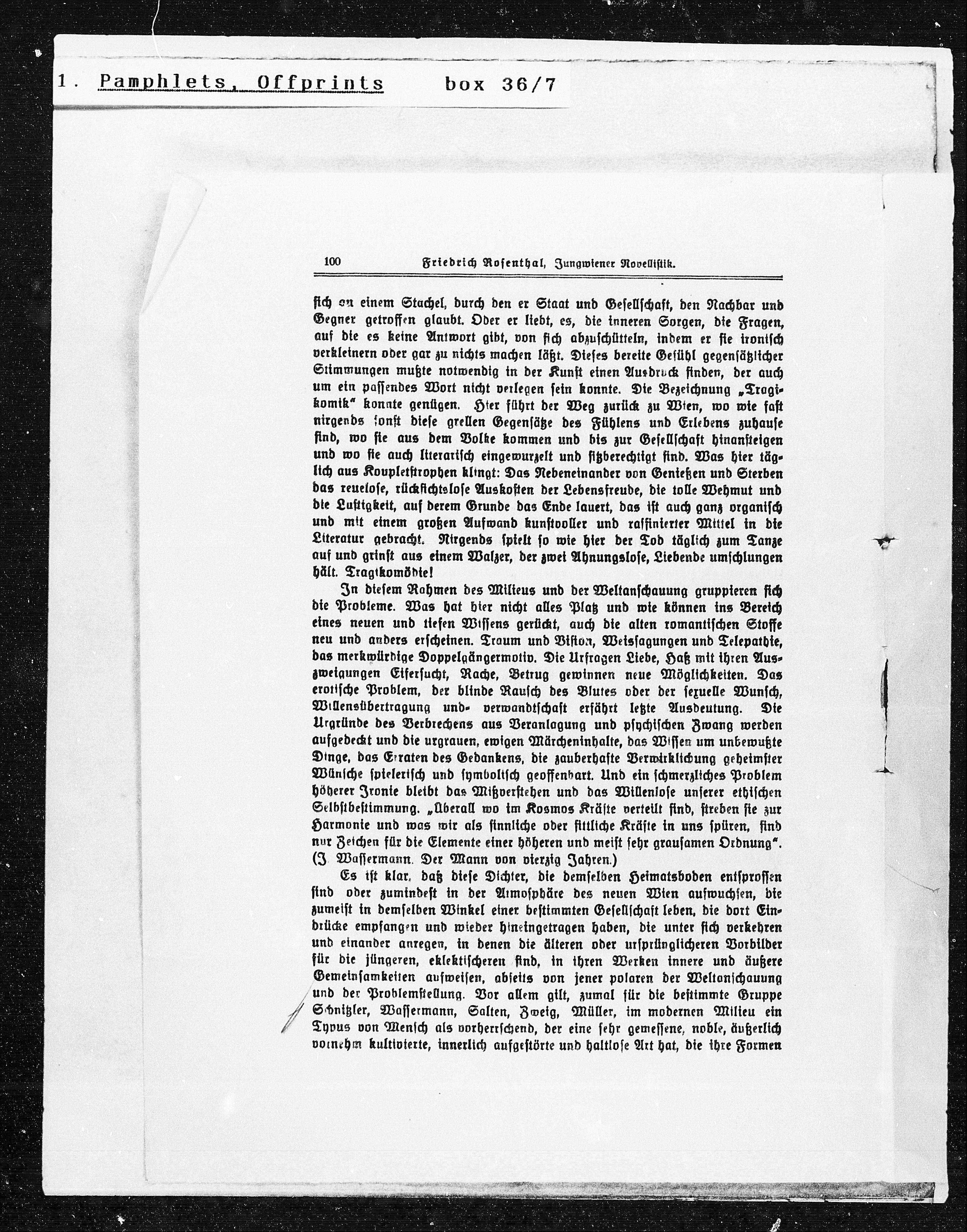 Vorschaubild für Rosenthal Jungwiener, Seite 10